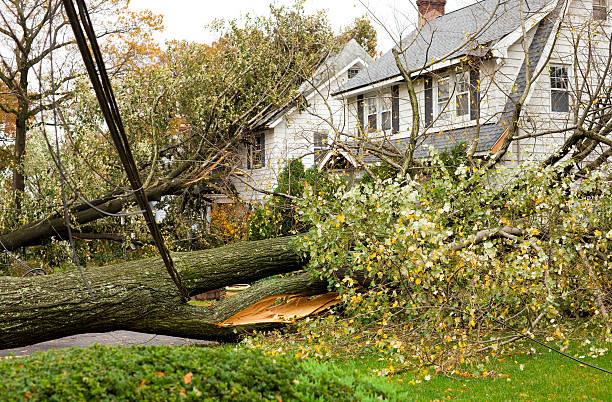 Fall Storm Prep: Protecting Your Home from Wind and Hail