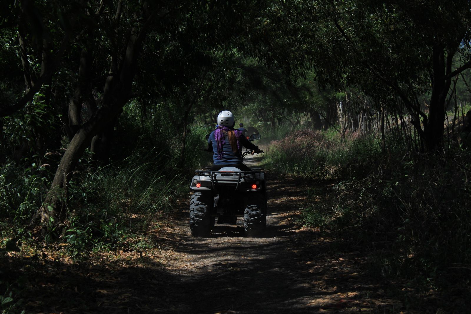 A rider on an ATV on a wooded dirt trail